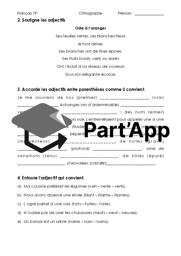 L'accord des adjectifs_3