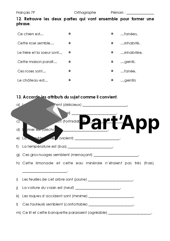 L'accord des adjectifs_7