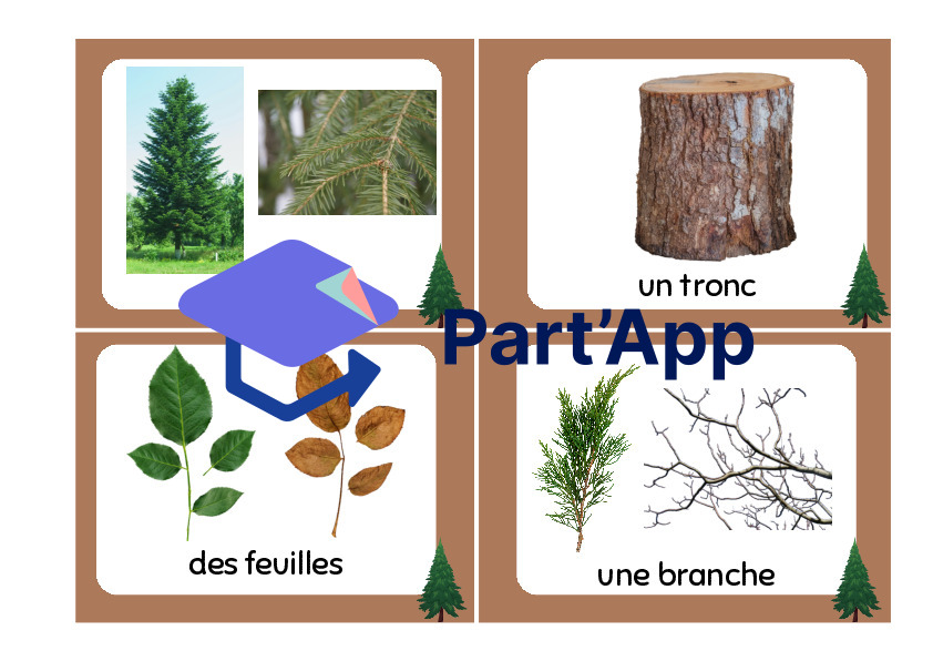cartes de vocabulaire - forêt_2