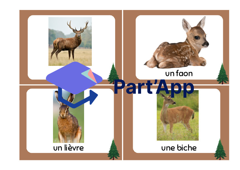 cartes de vocabulaire - forêt_5