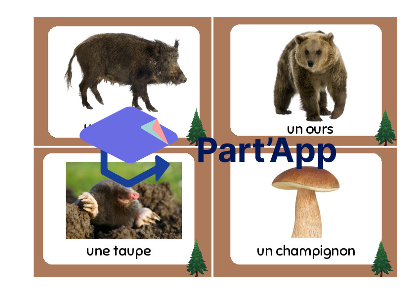 cartes de vocabulaire - forêt_6