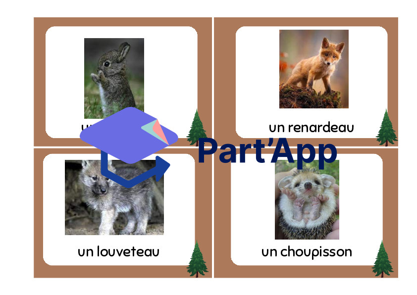 cartes de vocabulaire - forêt_7