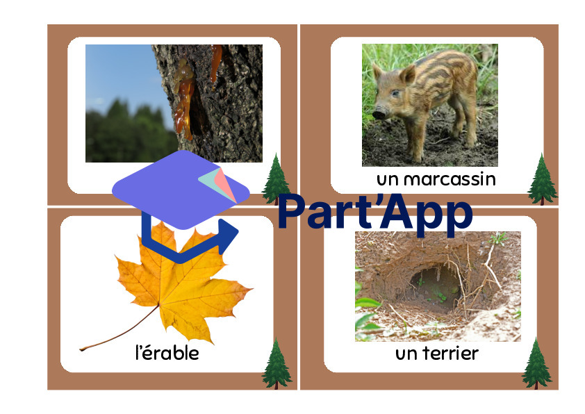 cartes de vocabulaire - forêt_8