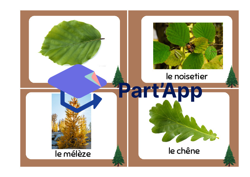 cartes de vocabulaire - forêt_9