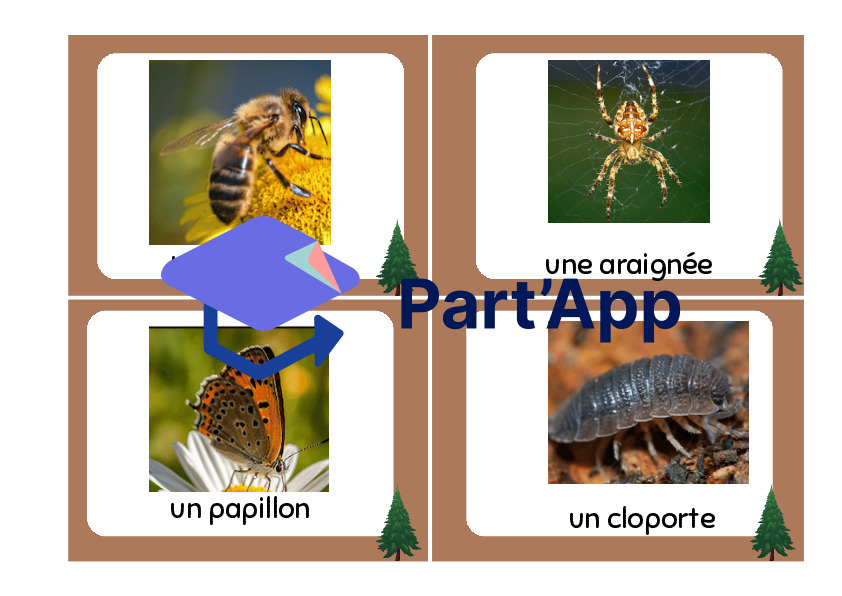 cartes de vocabulaire - forêt_10