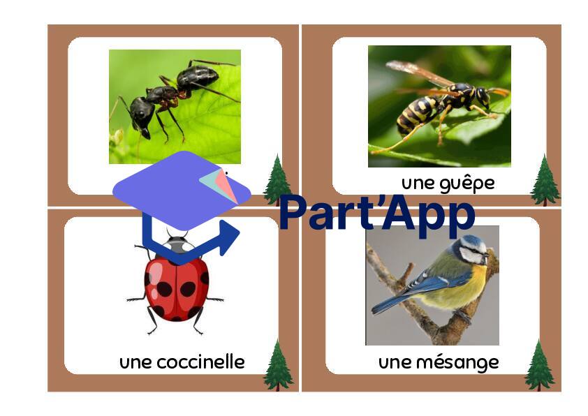 cartes de vocabulaire - forêt_11