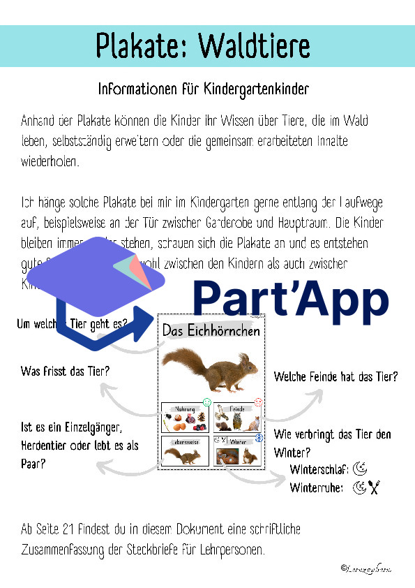 Plakate: Sachwissen Waldtiere für den Kindergarten (Poster)_22
