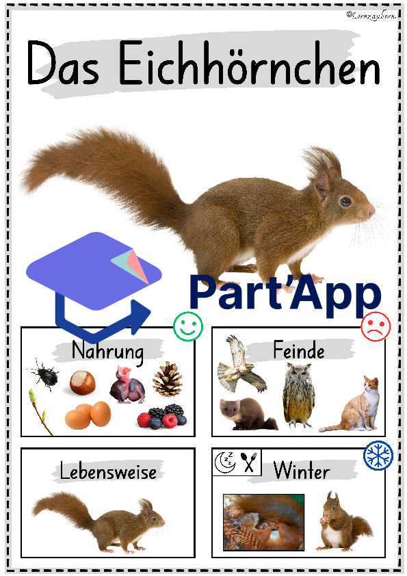 Plakate: Sachwissen Waldtiere für den Kindergarten (Poster)_23