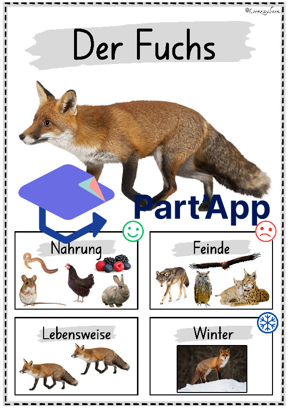 Plakate: Sachwissen Waldtiere für den Kindergarten (Poster)_24