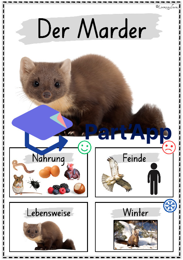 Plakate: Sachwissen Waldtiere für den Kindergarten (Poster)_25