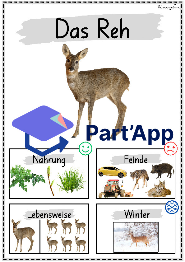 Plakate: Sachwissen Waldtiere für den Kindergarten (Poster)_27