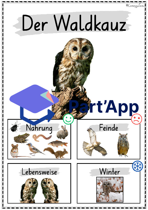 Plakate: Sachwissen Waldtiere für den Kindergarten (Poster)_28
