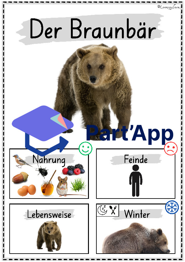 Plakate: Sachwissen Waldtiere für den Kindergarten (Poster)_29