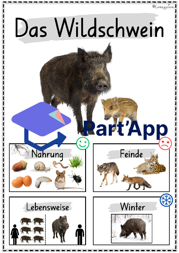 Plakate: Sachwissen Waldtiere für den Kindergarten (Poster)_30