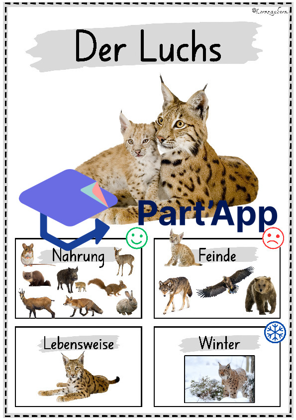 Plakate: Sachwissen Waldtiere für den Kindergarten (Poster)_31