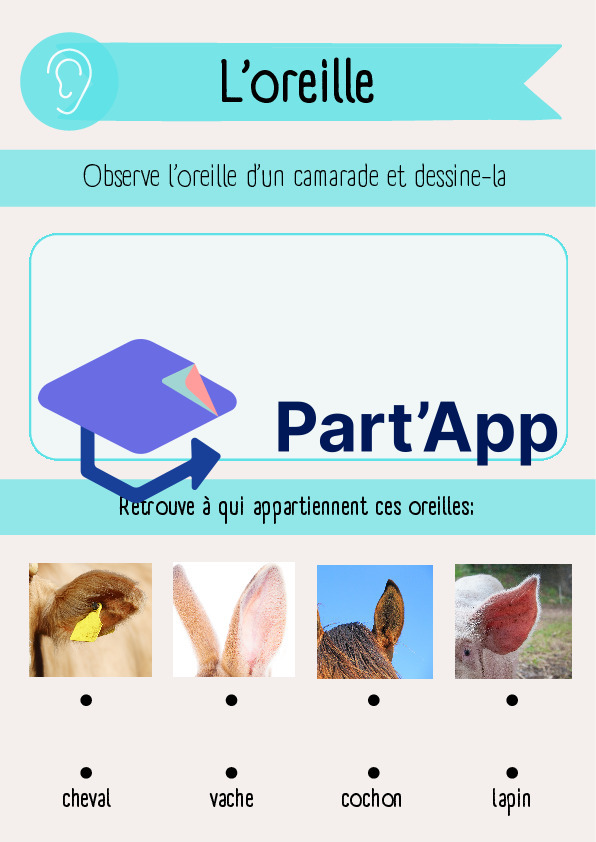 SHN - Les 5 sens: l'ouïe_49