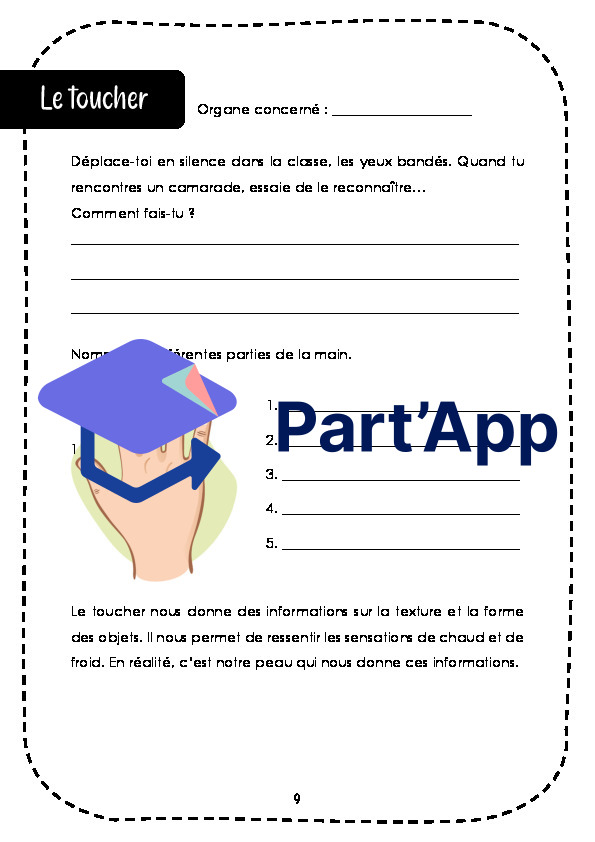 Dossier - les cinq sens_11