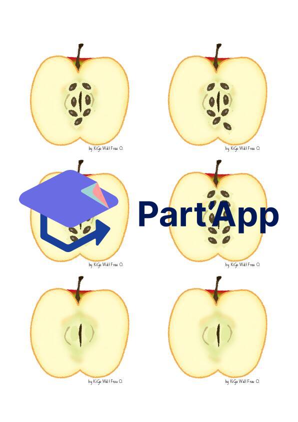 Jeu de comptage pomme/pépins de pomme_51