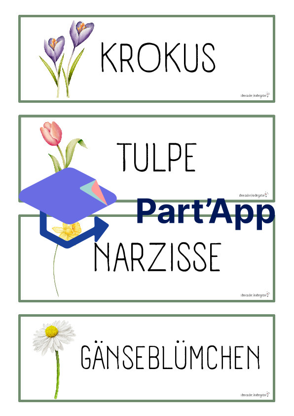 Naturprojekt Frühblüher_3