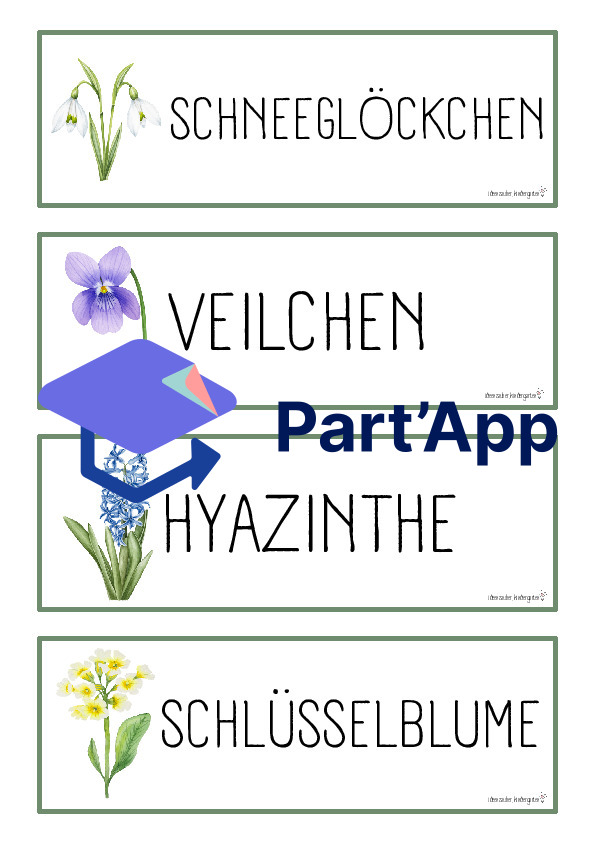 Naturprojekt Frühblüher_4