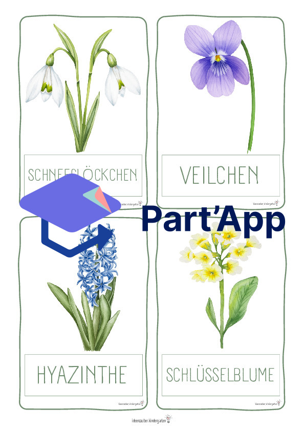 Naturprojekt Frühblüher_7