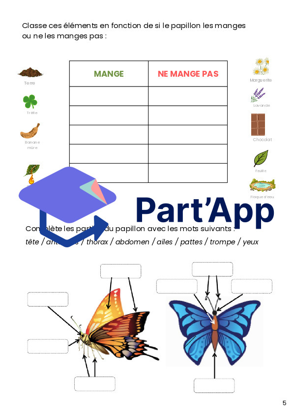 Dossier scientifique chenille et papillon_16