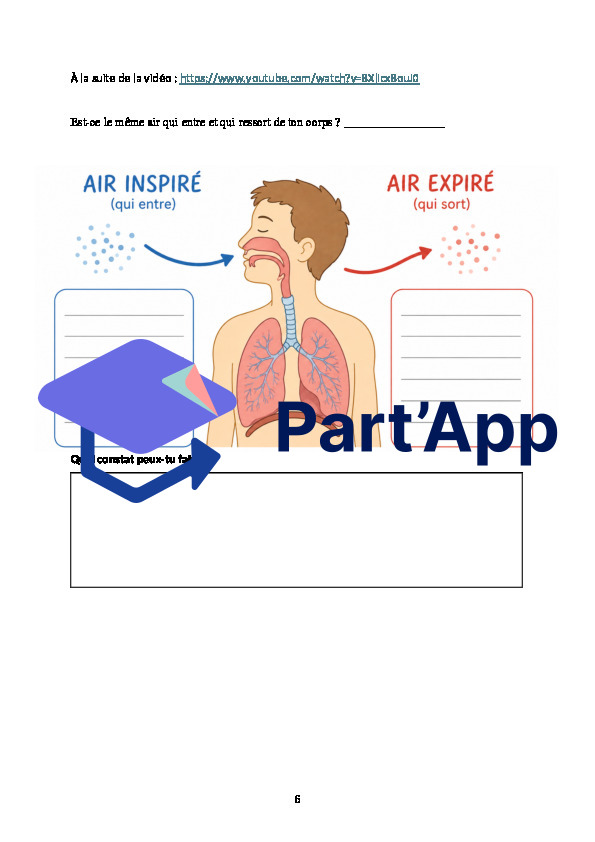 Système respiratoire_7