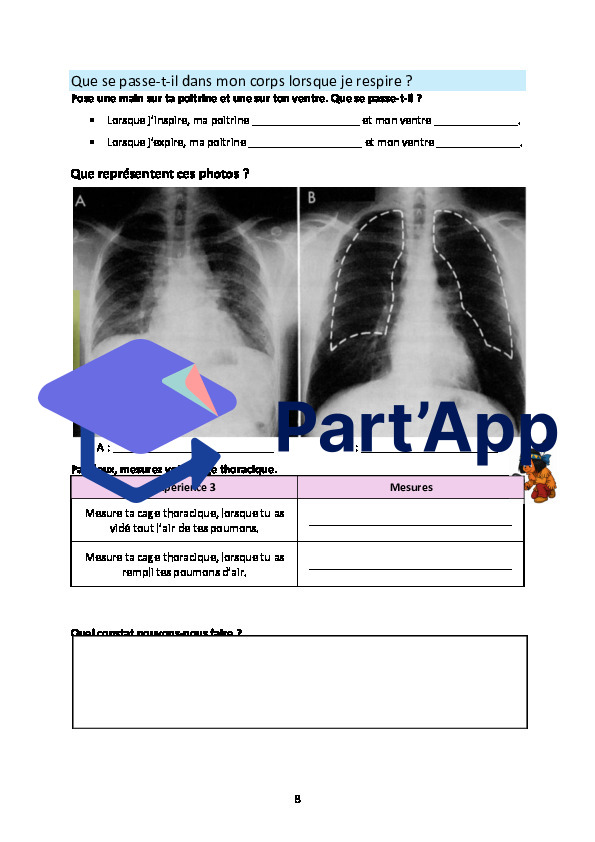 Système respiratoire_9