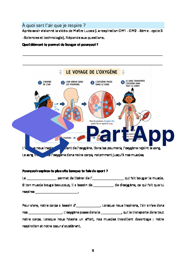 Système respiratoire_10