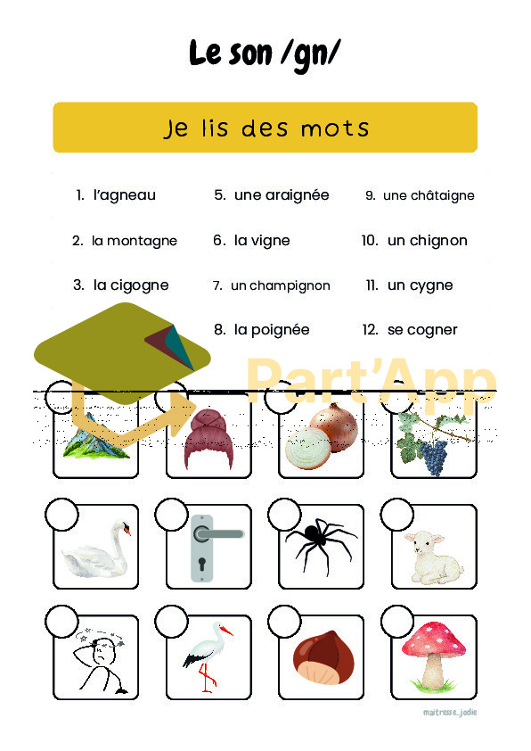 Le son /gn/_2