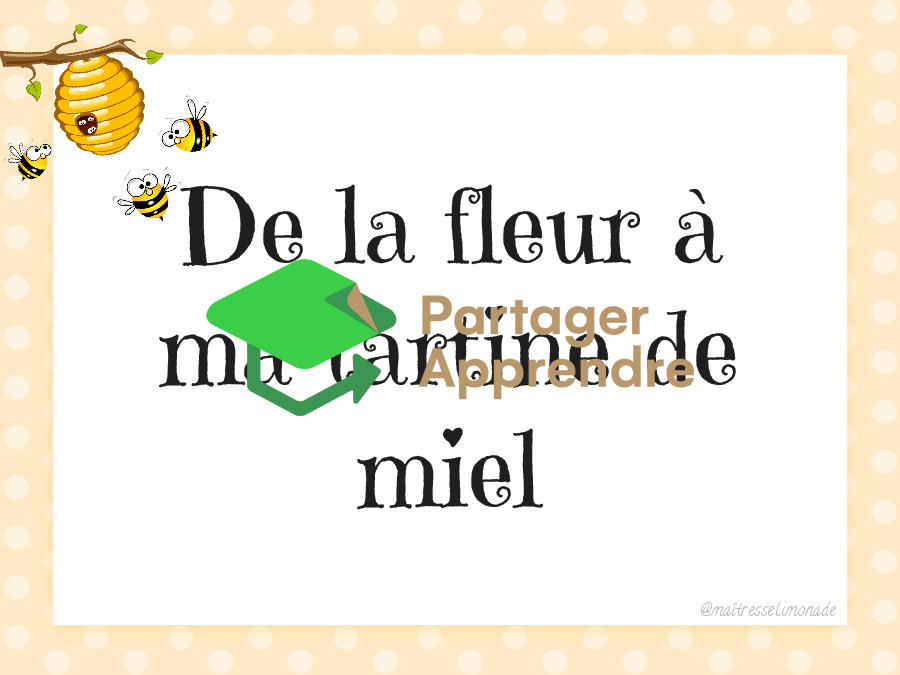 LES ABEILLES : les 7 étapes de la fleur à ma tartine de miel_2