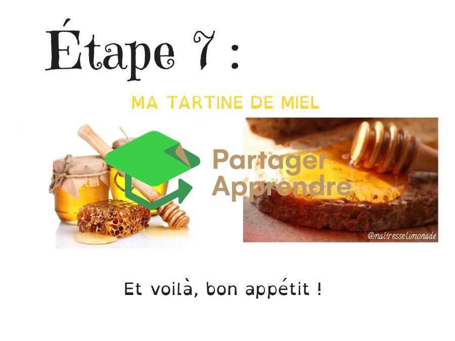 LES ABEILLES : les 7 étapes de la fleur à ma tartine de miel_10