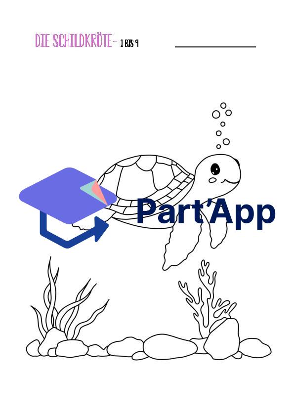Peinture par numéros - Tortue_4