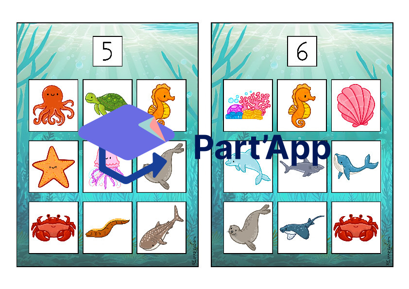 Bilderbingo: Meerestiere_24