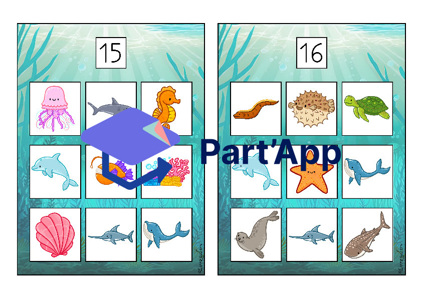 Bilderbingo: Meerestiere_29