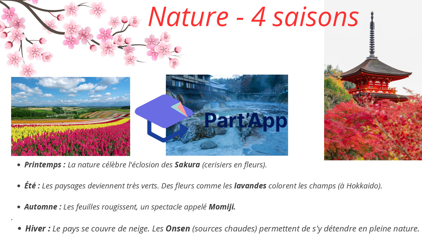 Tour du Monde - Japon_7