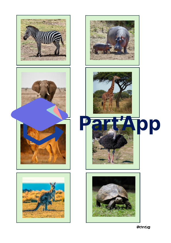 Memospiel "Welches Tier ist wo im Zoo?"_3
