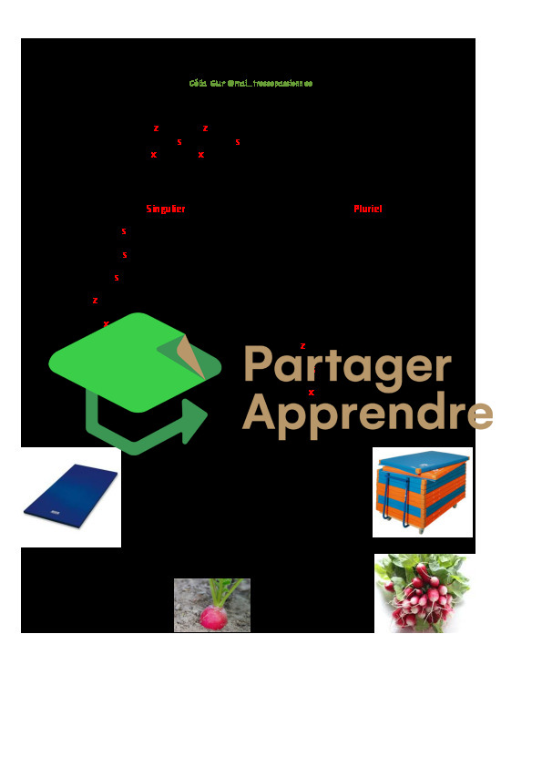 Le pluriel des noms se finissant par -s, -x ou -z_2