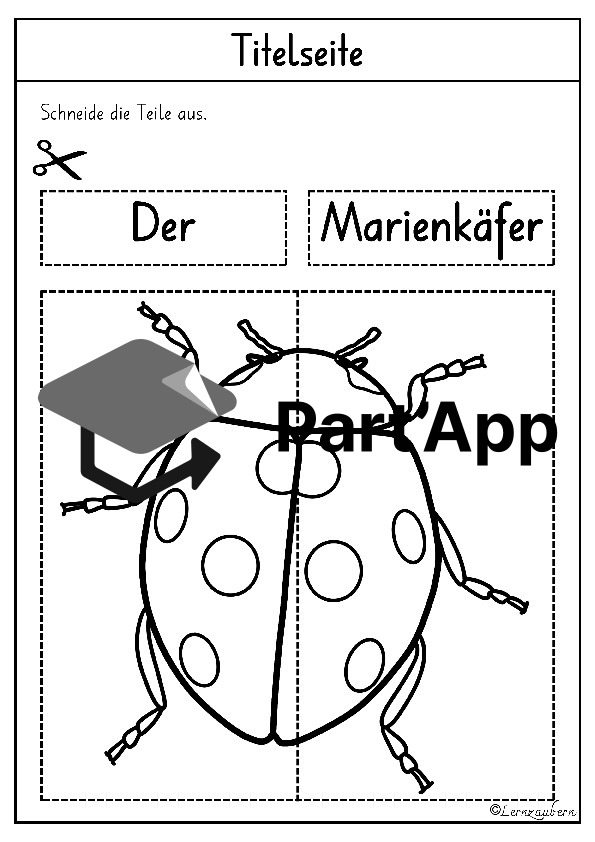 Lapbook Marienkäfer für den Kindergarten_4