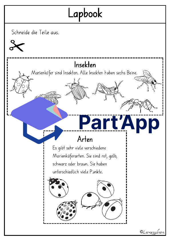 Lapbook Marienkäfer für den Kindergarten_6