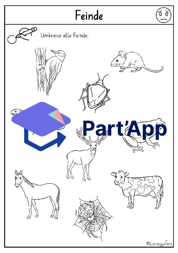Lapbook Marienkäfer für den Kindergarten_9