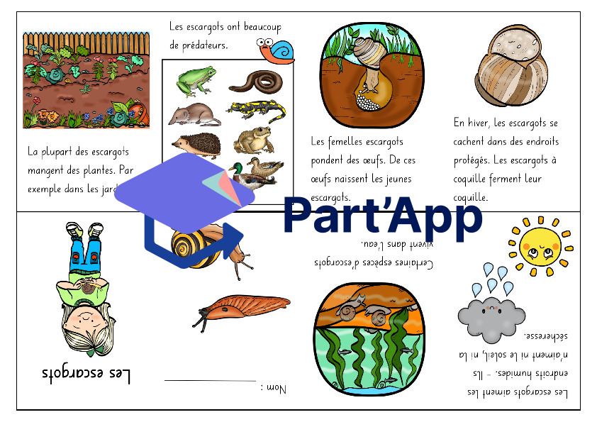 Mini-livre : Les escargots (l'école enfantine / 3P)_3