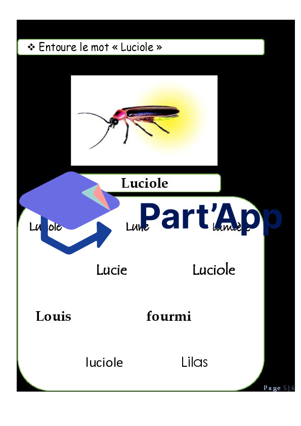 les insectes_6