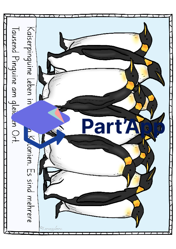 Bildkarten Pinguin (Lebenszyklus)_110