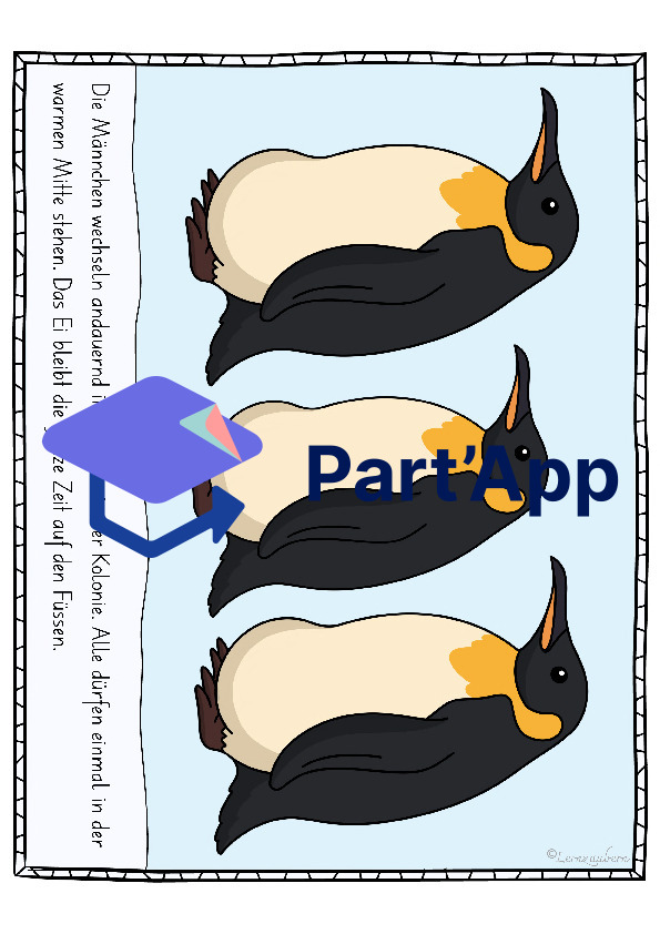 Bildkarten Pinguin (Lebenszyklus)_111