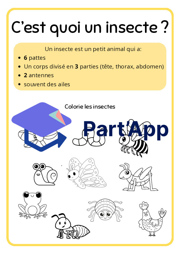 Dossier sur les insectes (1P-2P)_3