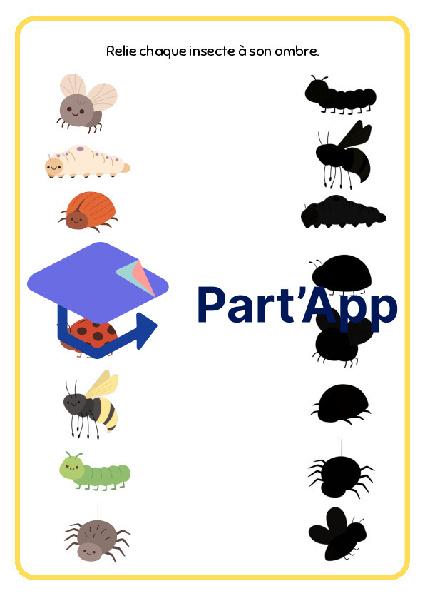 Dossier sur les insectes (1P-2P)_4