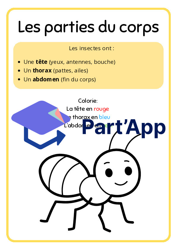 Dossier sur les insectes (1P-2P)_5