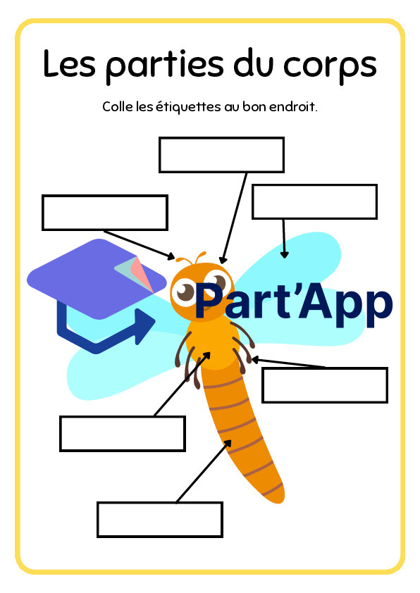 Dossier sur les insectes (1P-2P)_7