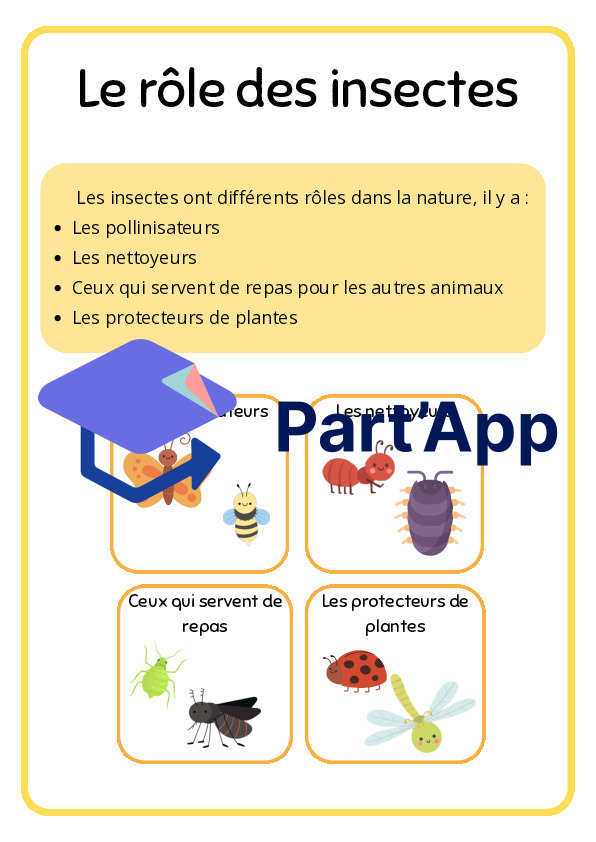 Dossier sur les insectes (1P-2P)_11
